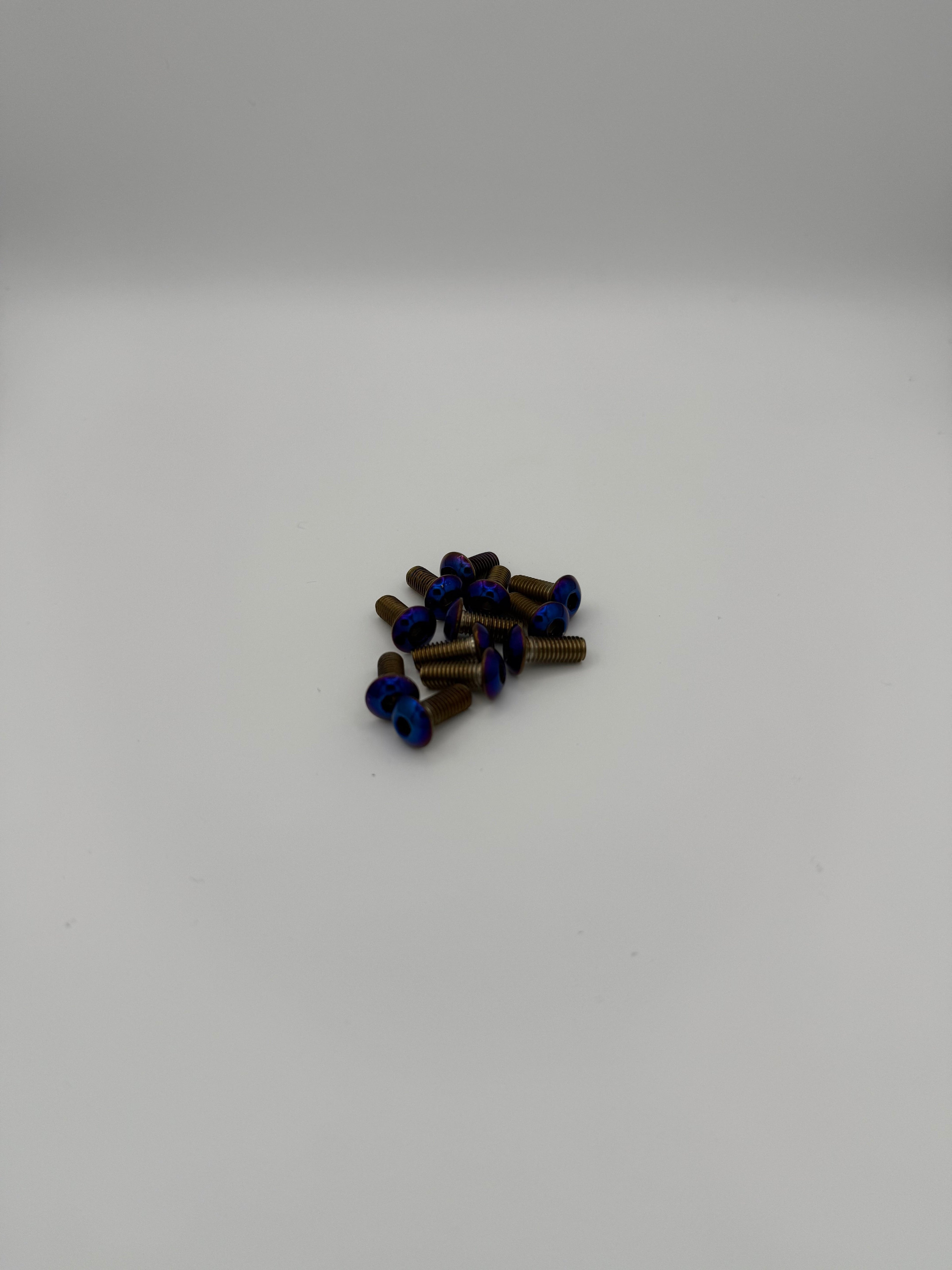 Titanium Frame Bolts - 12-Piece Set AmpMoto