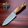 Custom Handmade Damascus Steel Knifes – Skinner Hunting EDC Knife with Wood Handle OLD FORGE BLADES