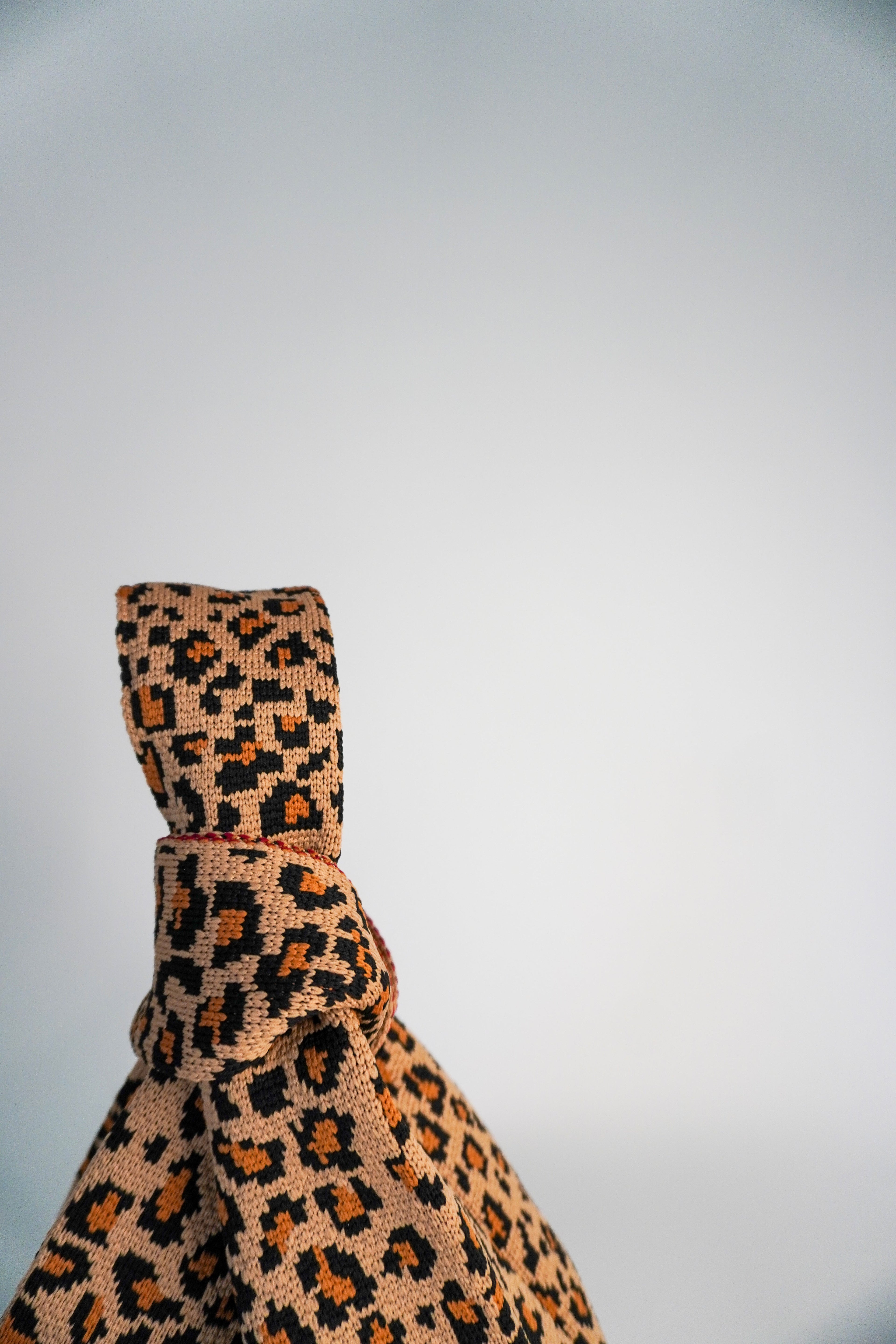 Wild One Handbag A Bag Concept