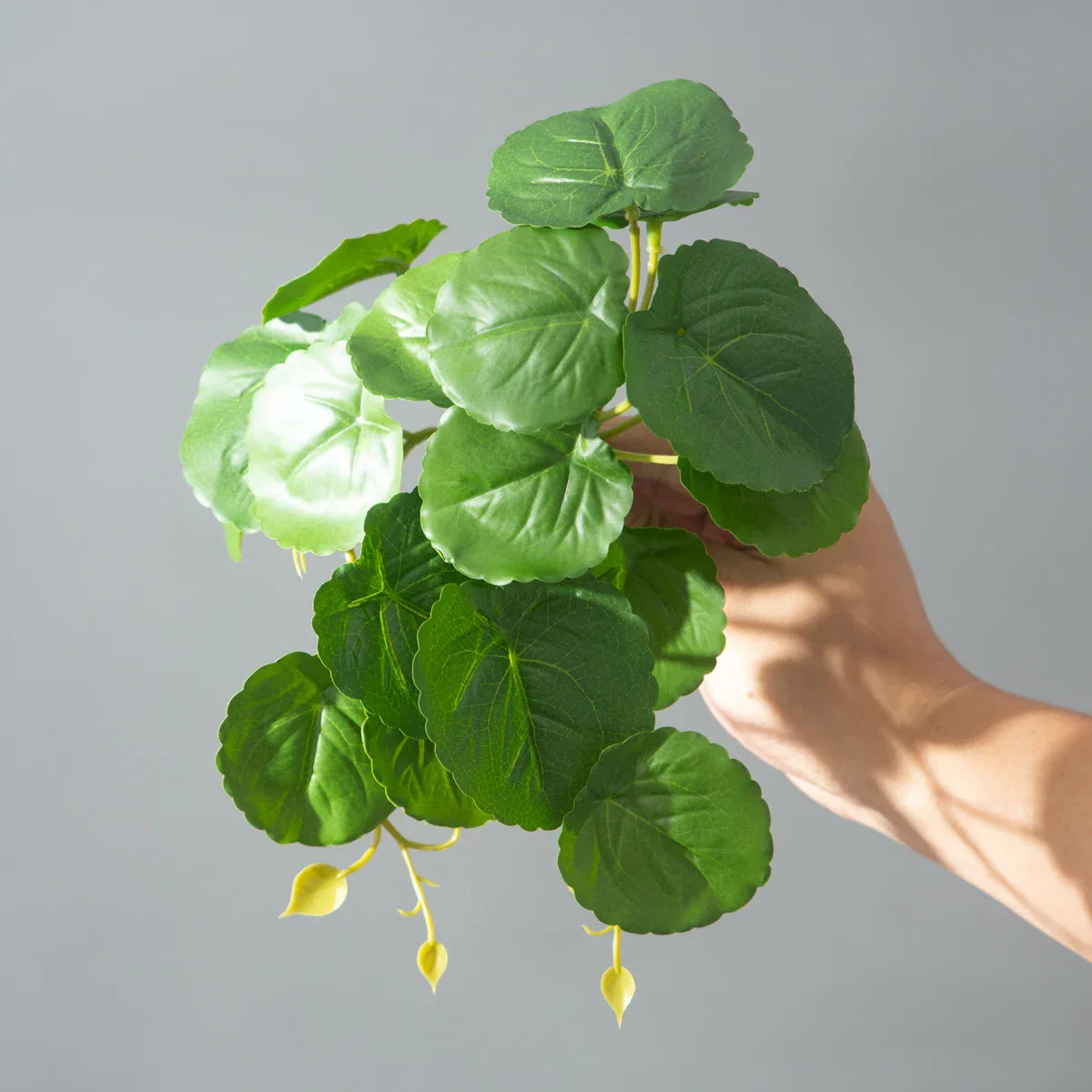 Dlight Decor 25cm Monstera Leaf Vine for Desktop and Holiday Decor Dlight Decor