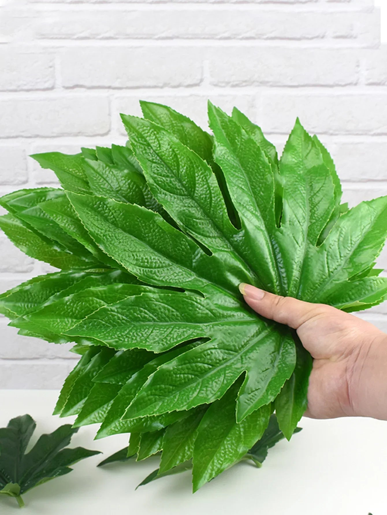 Dlight Decor 5 or 10pcs Tropical Fatsia Monstera Leaves for Table and Home Decor Dlight Decor