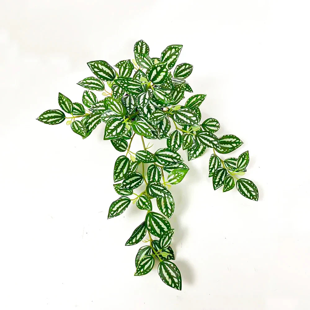 Dlight Decor Scindapsus Vine for Wall Hanging and Garden Styling Dlight Decor