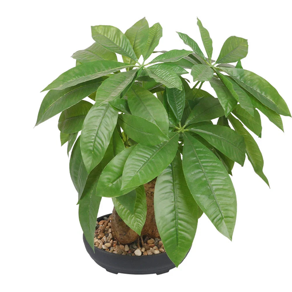 Dlight Decor 43cm Potted Monstera Money Tree for Home and Garden Decor Dlight Decor
