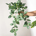Dlight Decor Scindapsus Vine for Wall Hanging and Garden Styling Dlight Decor