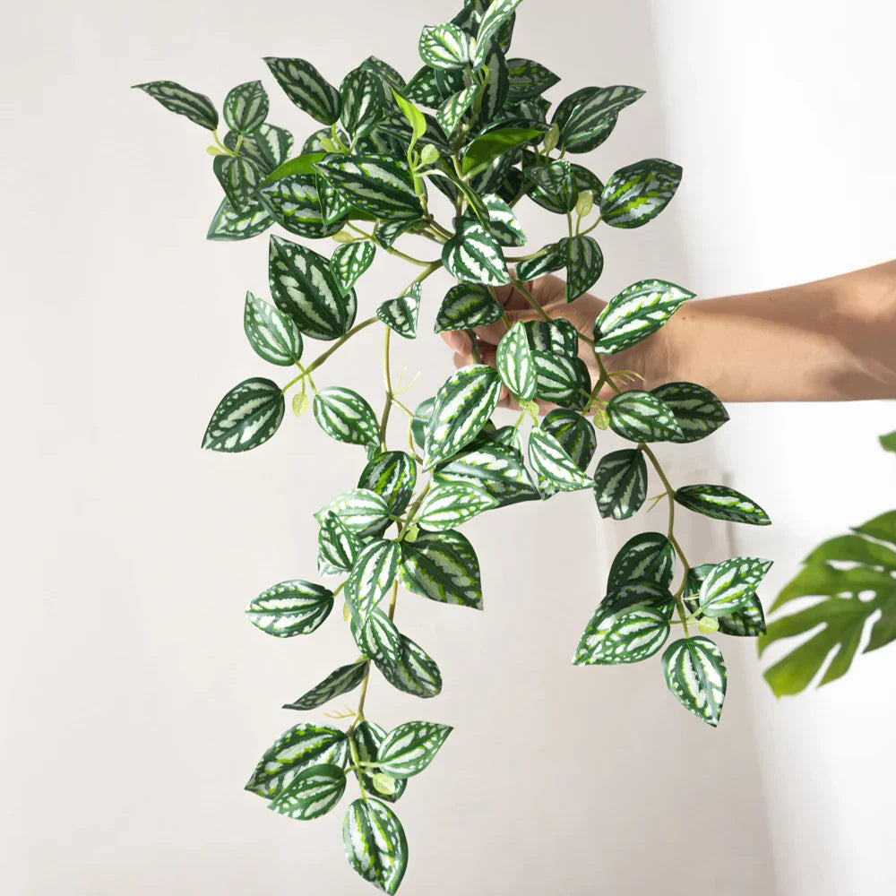 Dlight Decor Scindapsus Vine for Wall Hanging and Garden Styling Dlight Decor
