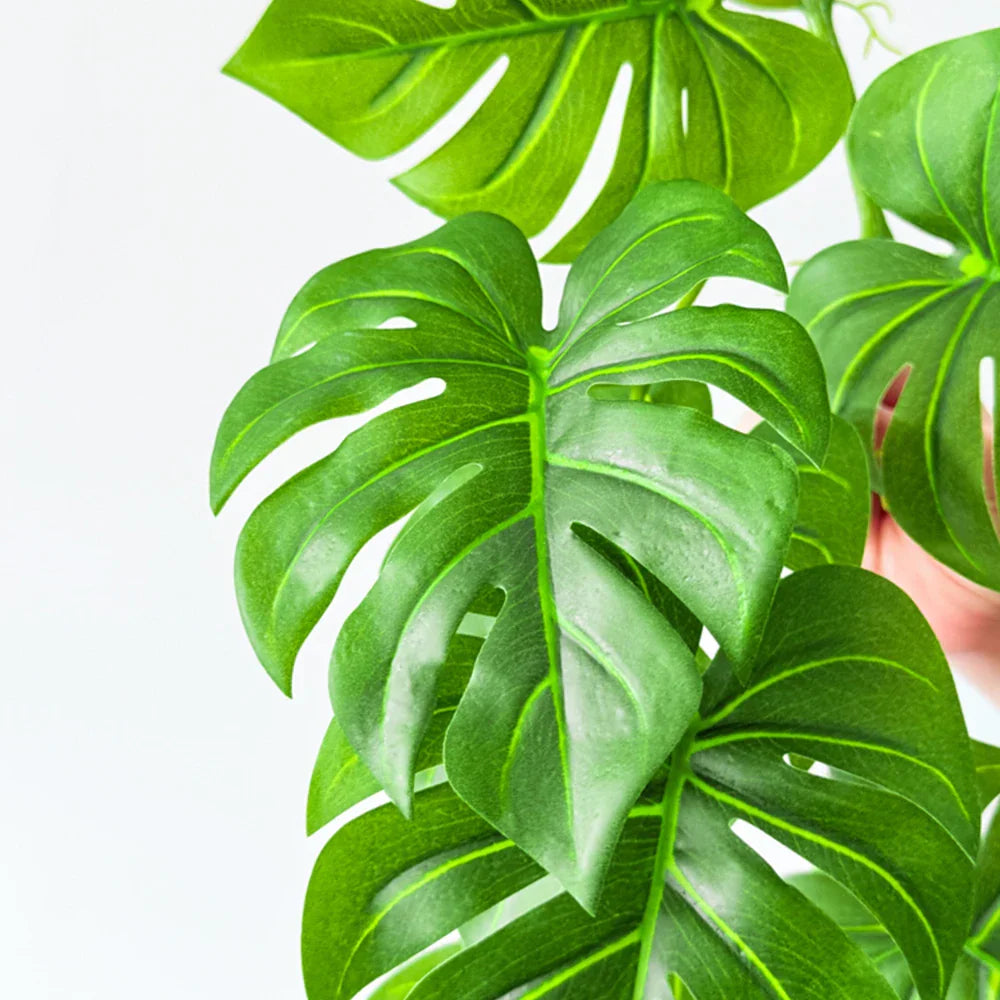 Dlight Decor 180cm Hanging Monstera Vine with Turtle Leaves Dlight Decor