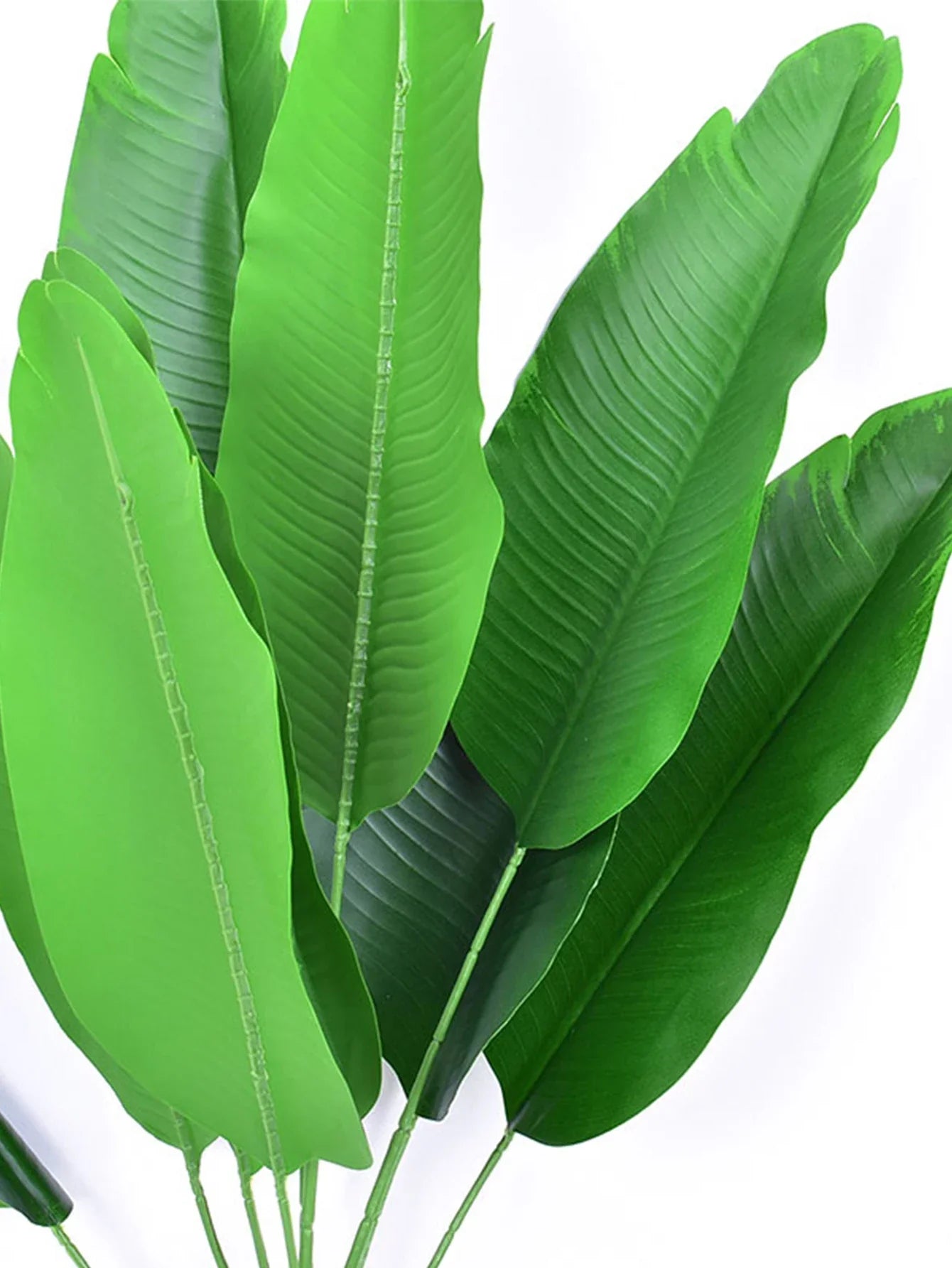 Dlight Decor 78cm Tall Tropical Monstera Plant with Banana Leaves Dlight Decor