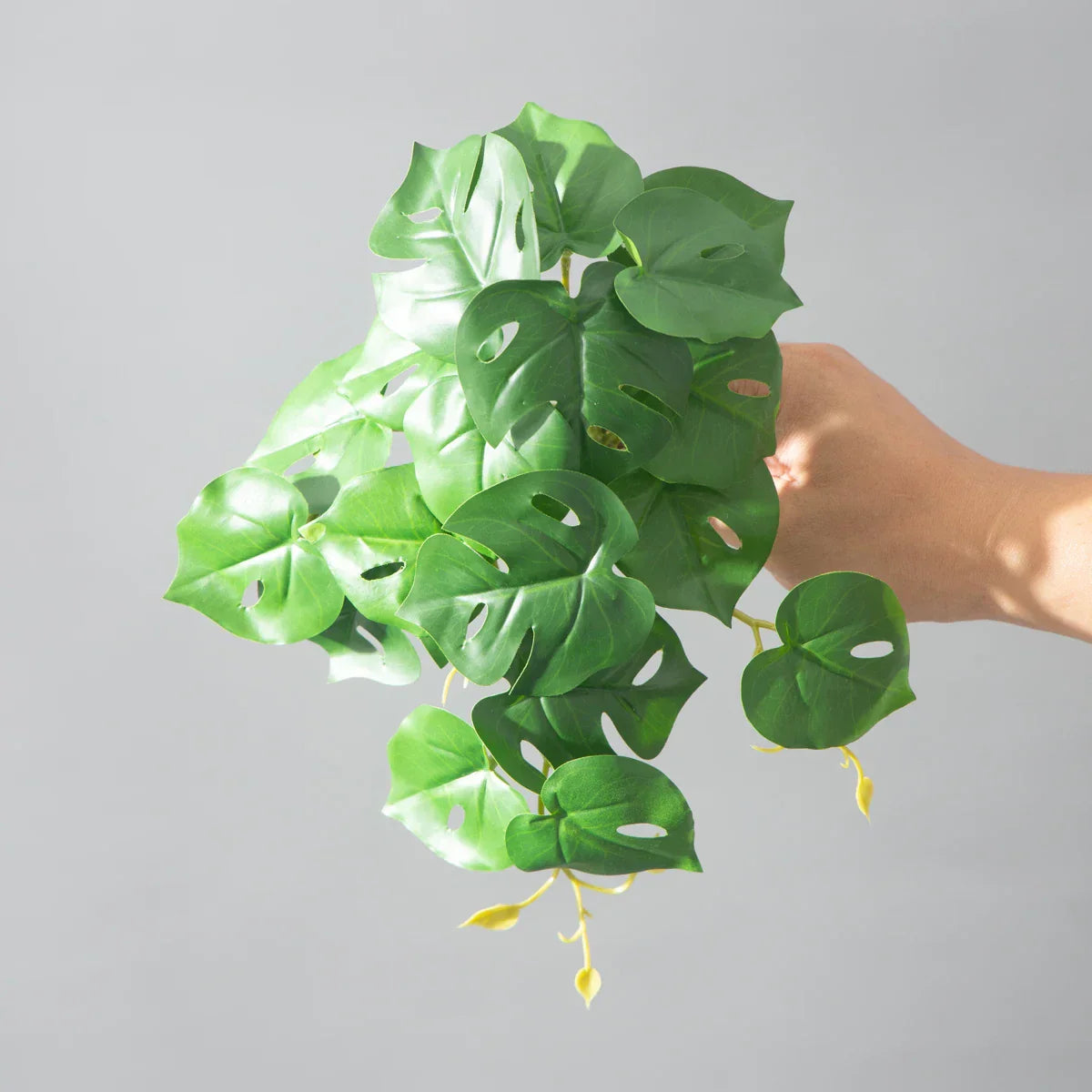 Dlight Decor 25cm Monstera Leaf Vine for Desktop and Holiday Decor Dlight Decor