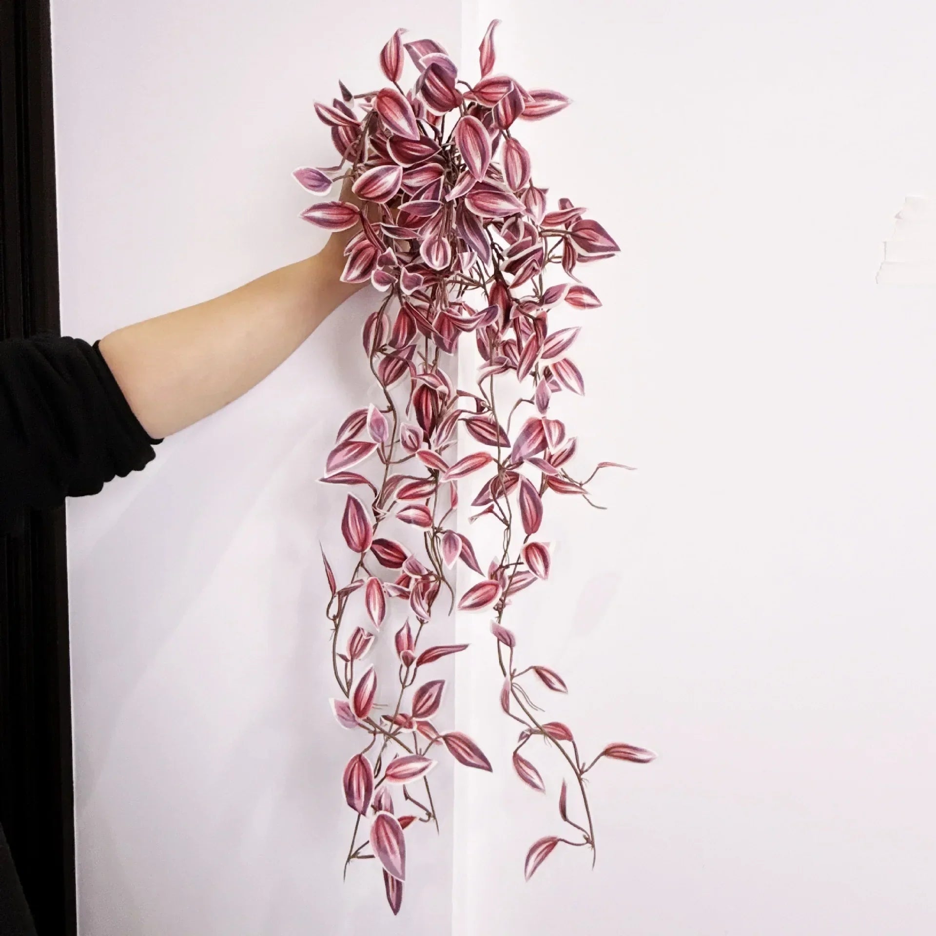 Dlight Decor 75cm Hanging Eucalyptus Vine with Scindapsus Leaves Dlight Decor