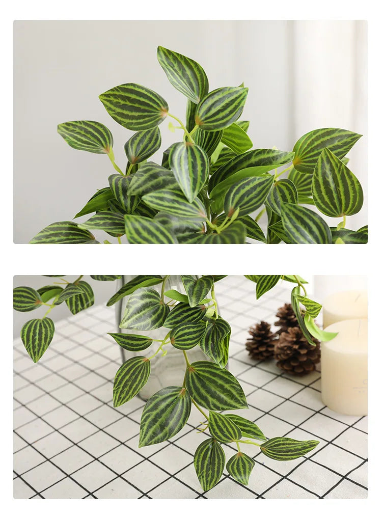 Dlight Decor Scindapsus Vine for Wall Hanging and Garden Styling Dlight Decor