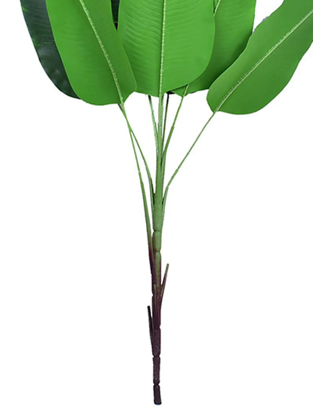 Dlight Decor 78cm Tall Tropical Monstera Plant with Banana Leaves Dlight Decor