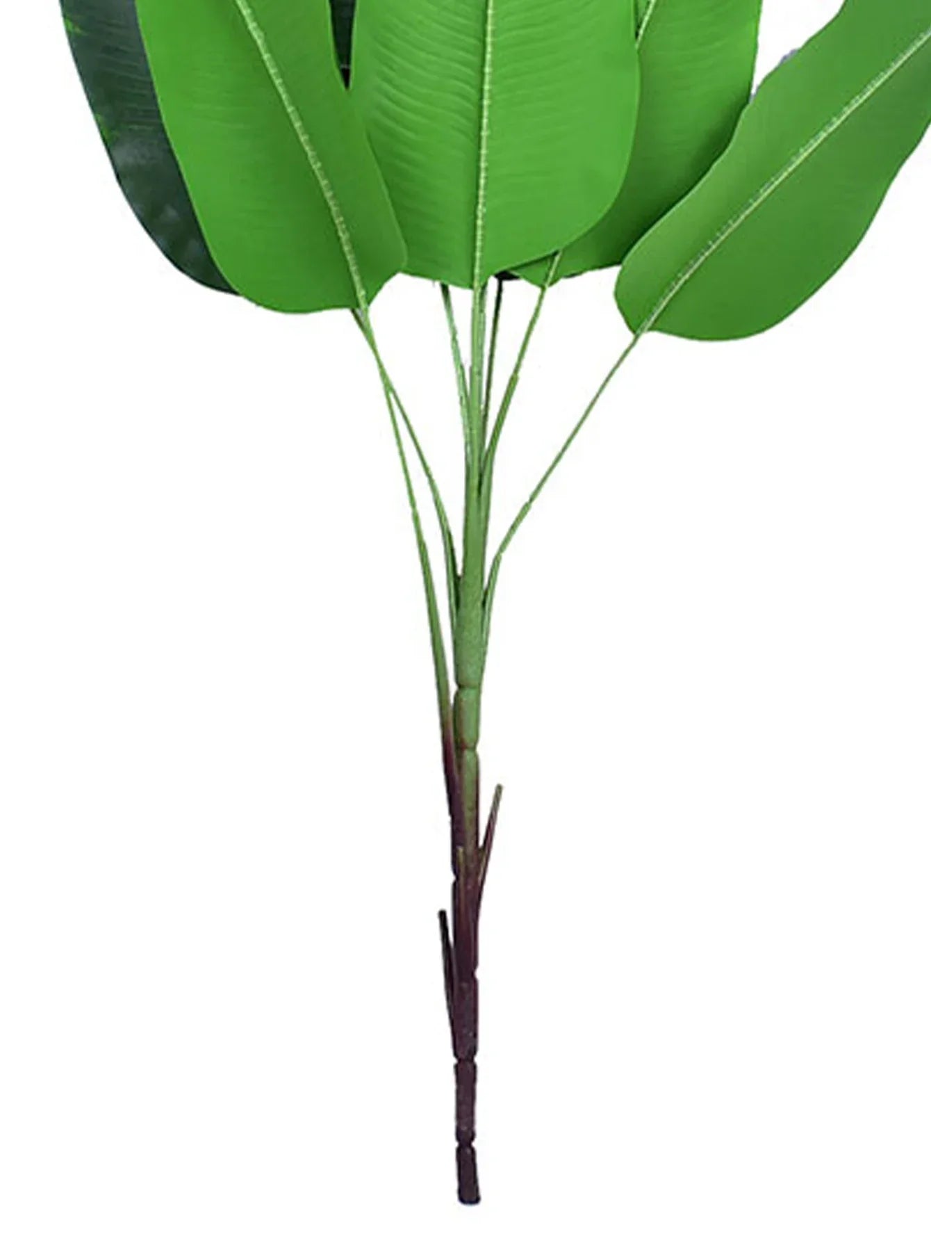 Dlight Decor 78cm Tall Tropical Monstera Plant with Banana Leaves Dlight Decor