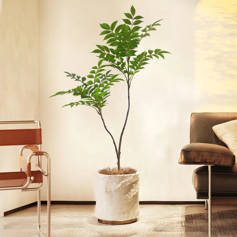 Dlight Decor Ficus Tree for Lush Indoor Outdoor Styling Dlight Decor