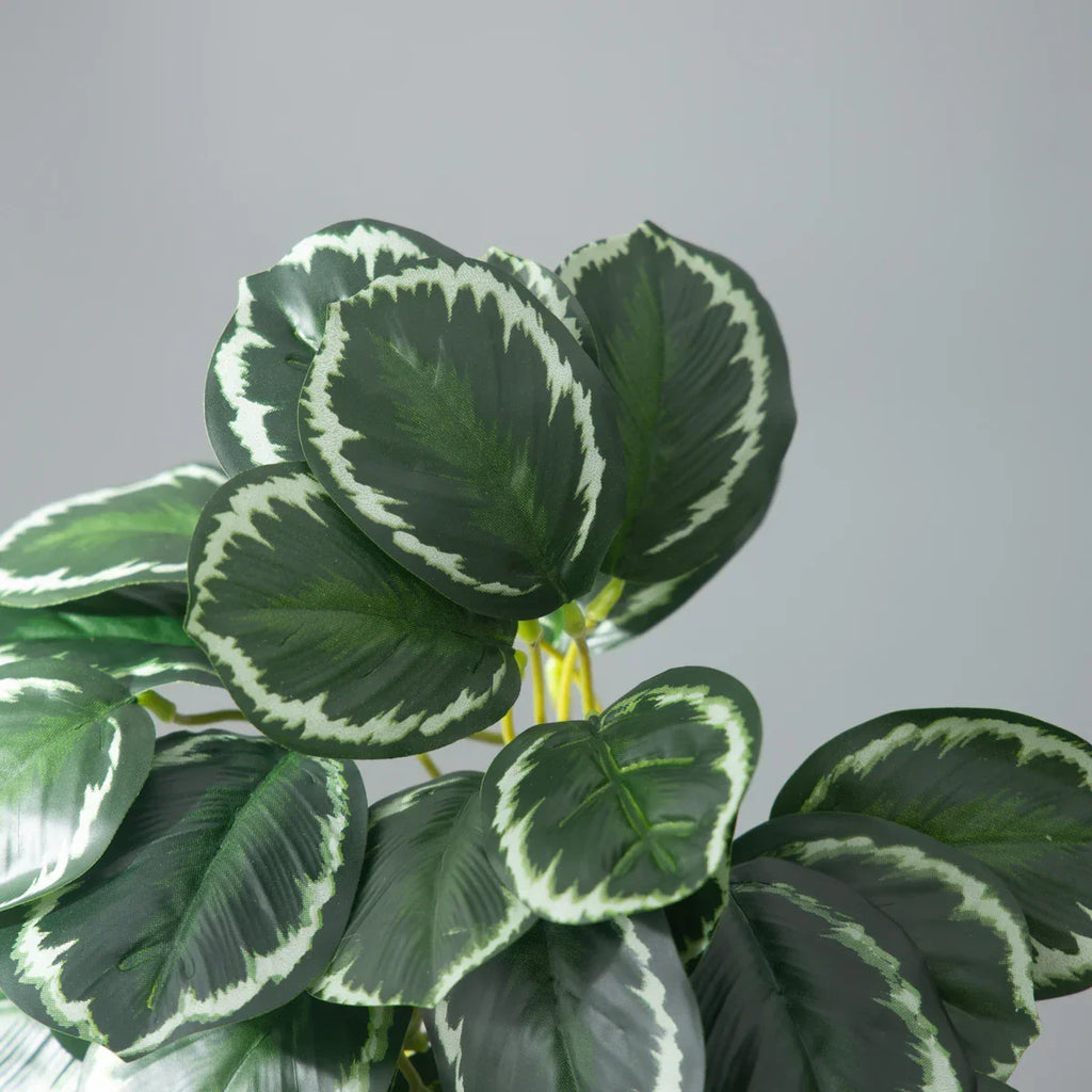 Dlight Decor 25cm Monstera Leaf Vine for Desktop and Holiday Decor Dlight Decor