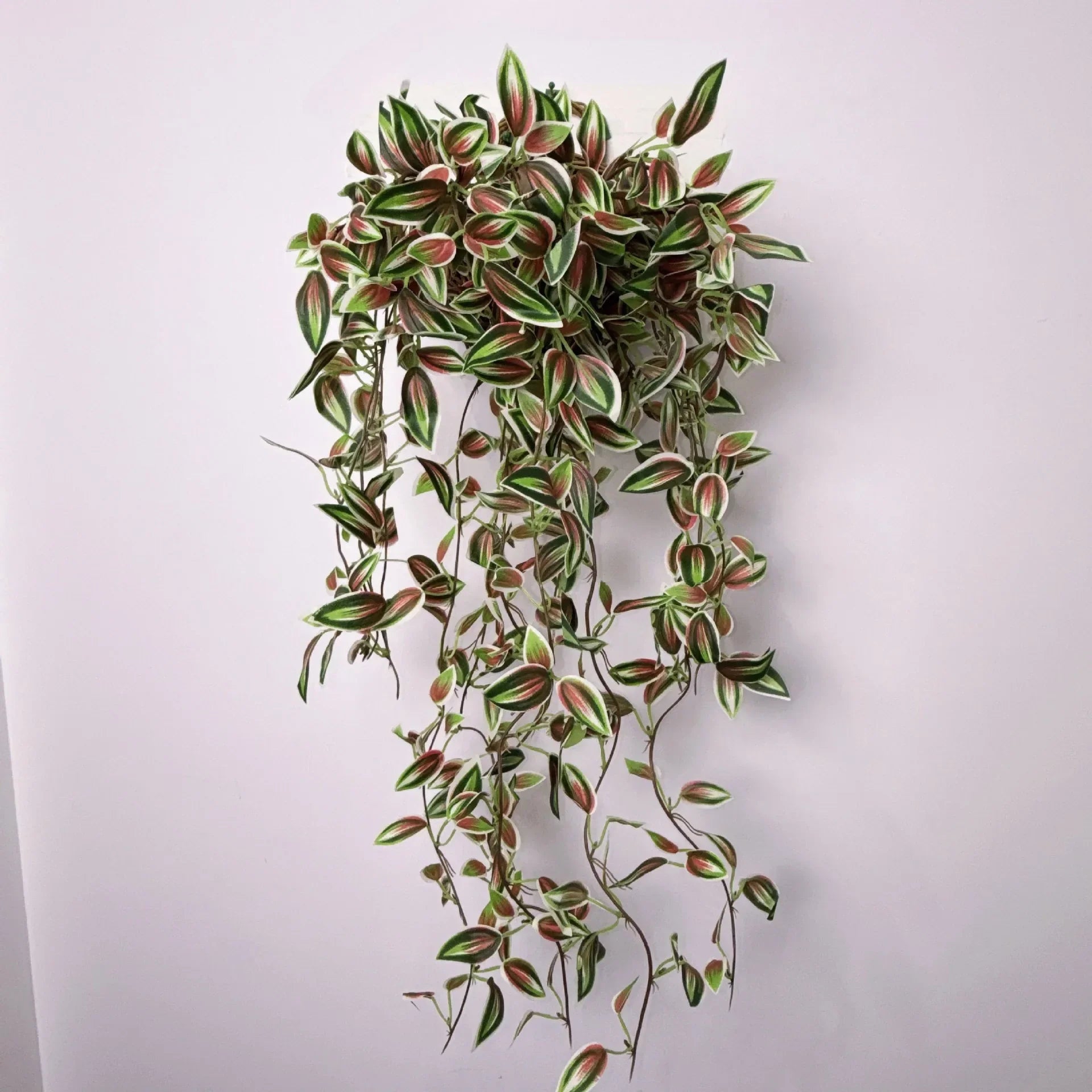 Dlight Decor 75cm Hanging Eucalyptus Vine with Scindapsus Leaves Dlight Decor