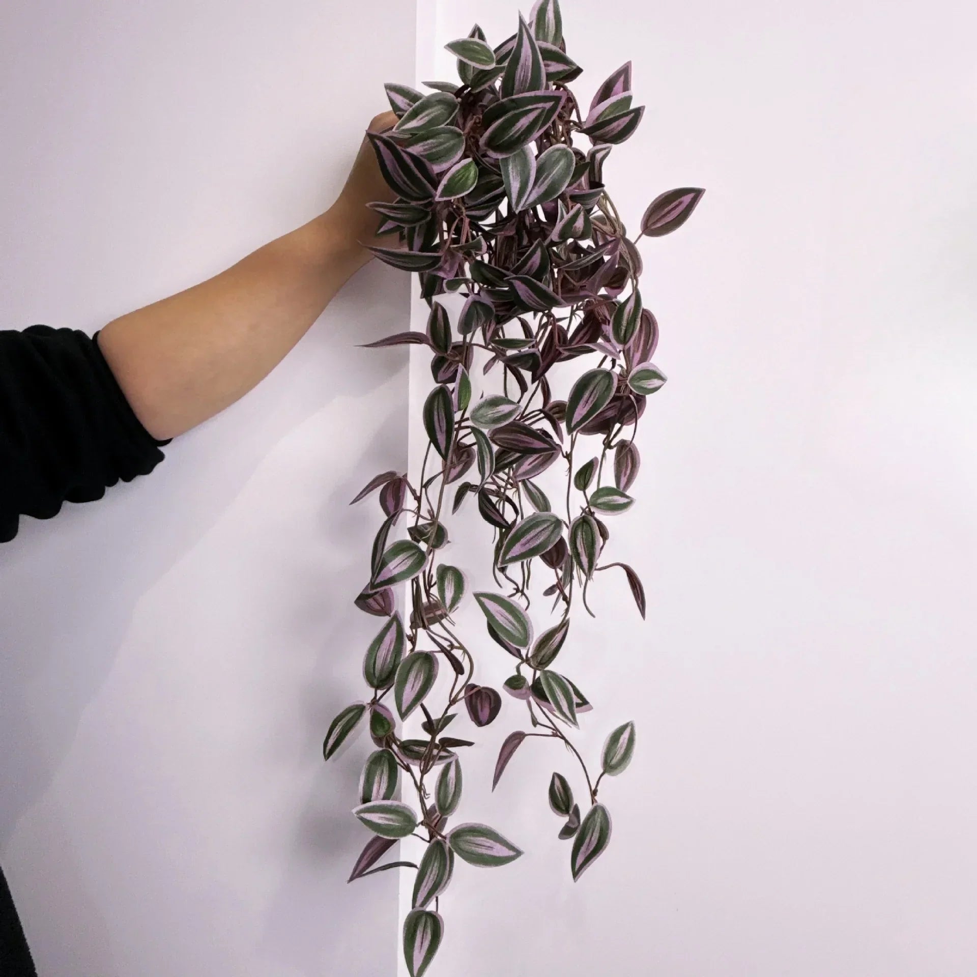 Dlight Decor 75cm Hanging Eucalyptus Vine with Scindapsus Leaves Dlight Decor