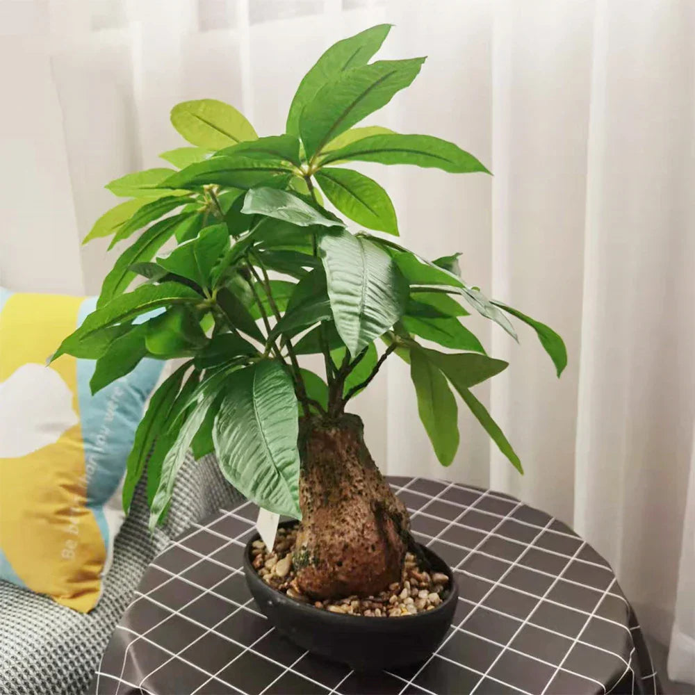 Dlight Decor 43cm Potted Monstera Money Tree for Home and Garden Decor Dlight Decor