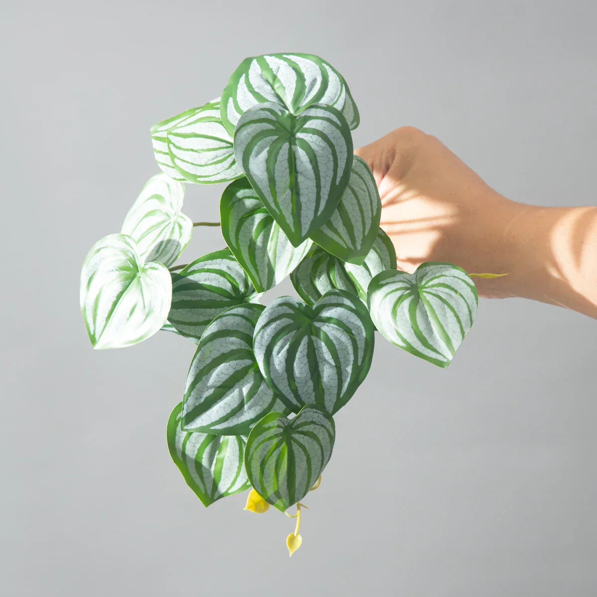 Dlight Decor 25cm Monstera Leaf Vine for Desktop and Holiday Decor Dlight Decor