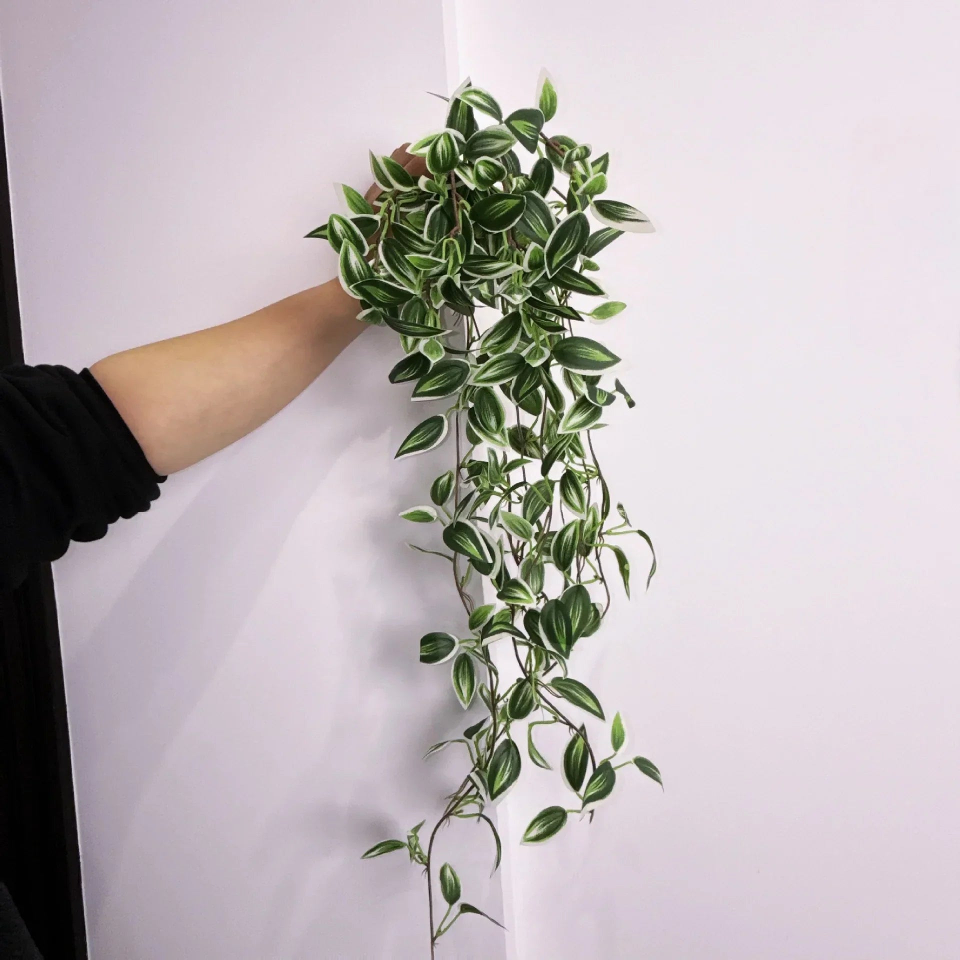 Dlight Decor 75cm Hanging Eucalyptus Vine with Scindapsus Leaves Dlight Decor