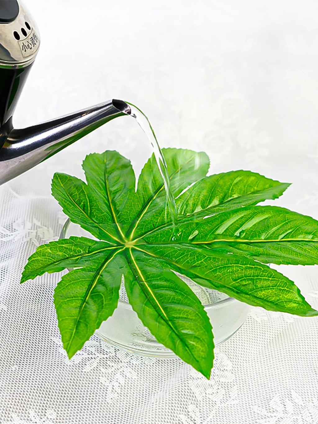 Dlight Decor 5 or 10pcs Tropical Fatsia Monstera Leaves for Table and Home Decor Dlight Decor