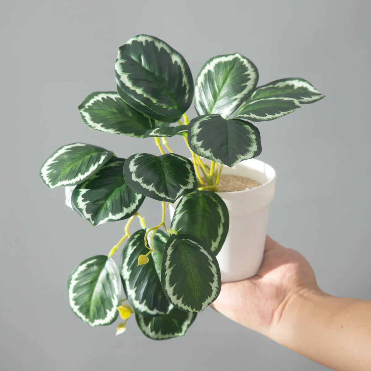 Dlight Decor 25cm Monstera Leaf Vine for Desktop and Holiday Decor Dlight Decor