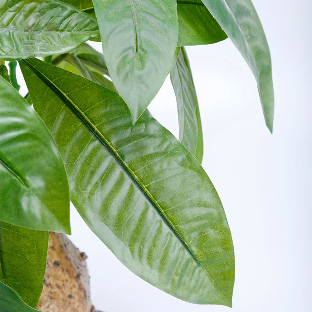 Dlight Decor 43cm Potted Monstera Money Tree for Home and Garden Decor Dlight Decor
