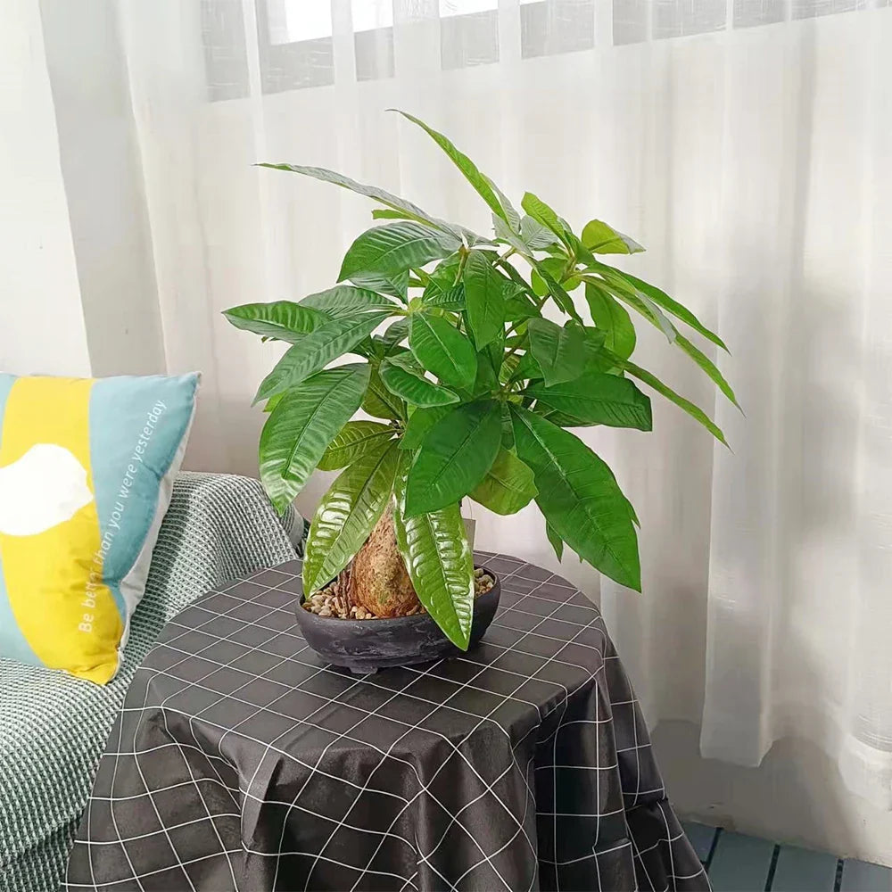 Dlight Decor 43cm Potted Monstera Money Tree for Home and Garden Decor Dlight Decor