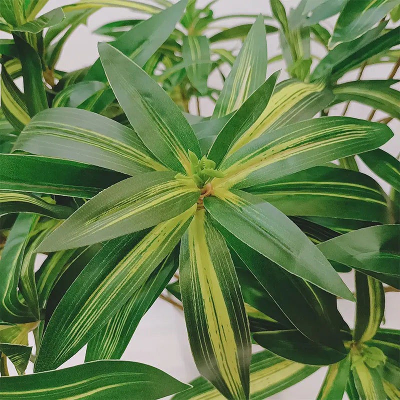 Dlight Decor 75cm Palm Tree with Real Touch Leaves Dlight Decor