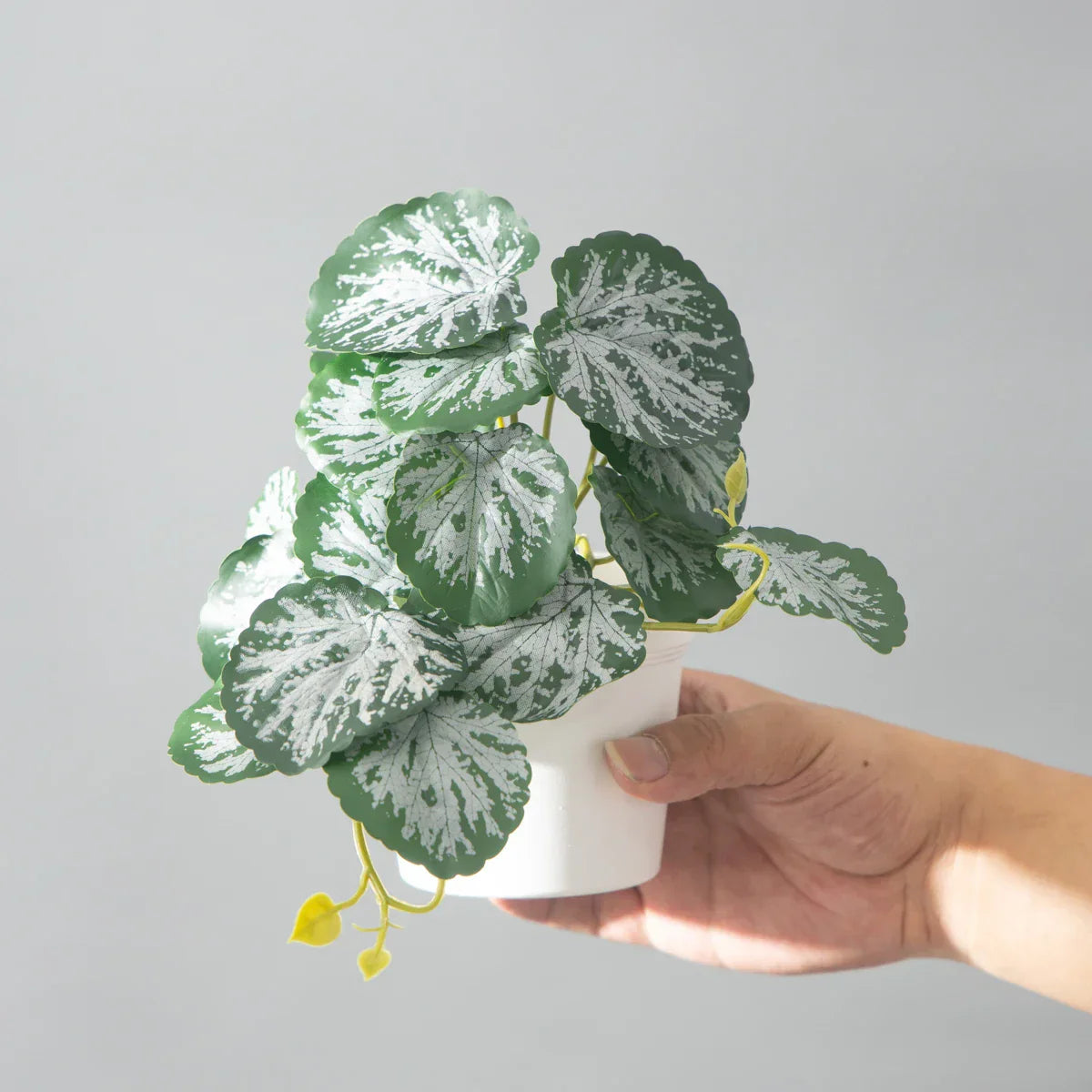 Dlight Decor 25cm Monstera Leaf Vine for Desktop and Holiday Decor Dlight Decor