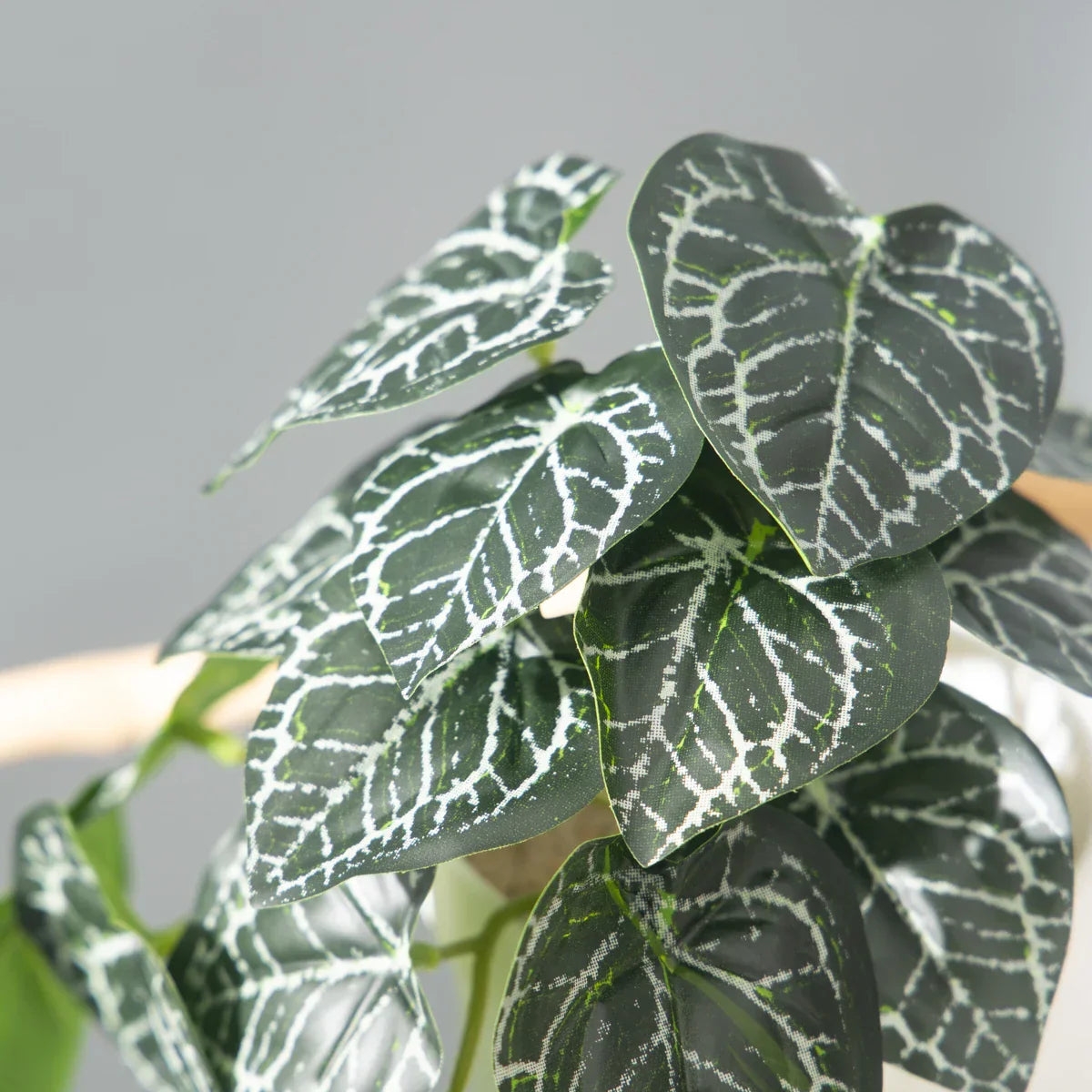 Dlight Decor 25cm Monstera Leaf Vine for Desktop and Holiday Decor Dlight Decor