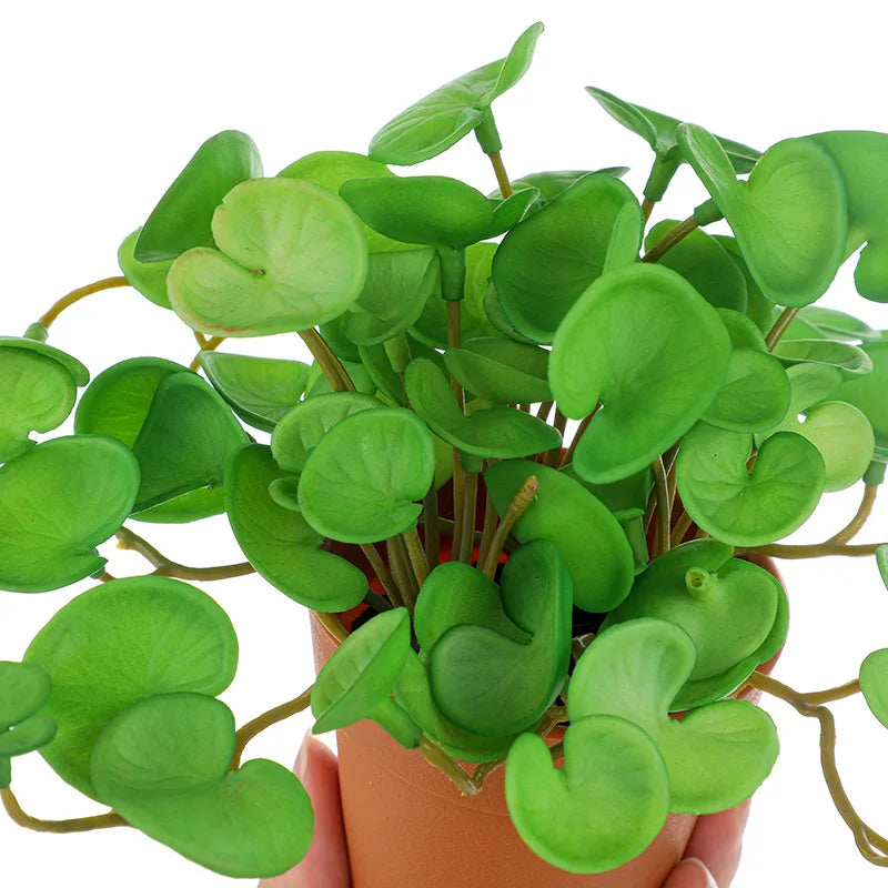 Dlight Decor 15cm Lucky Grass Foliage Bouquet for Home and Bonsai Decor Dlight Decor