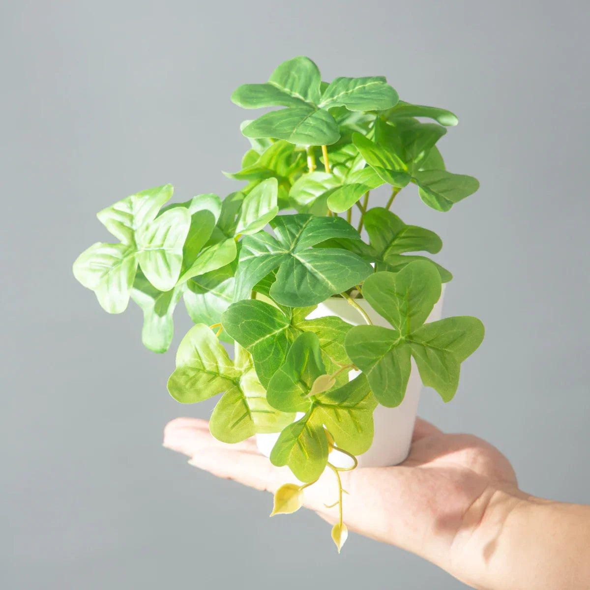 Dlight Decor 25cm Monstera Leaf Vine for Desktop and Holiday Decor Dlight Decor