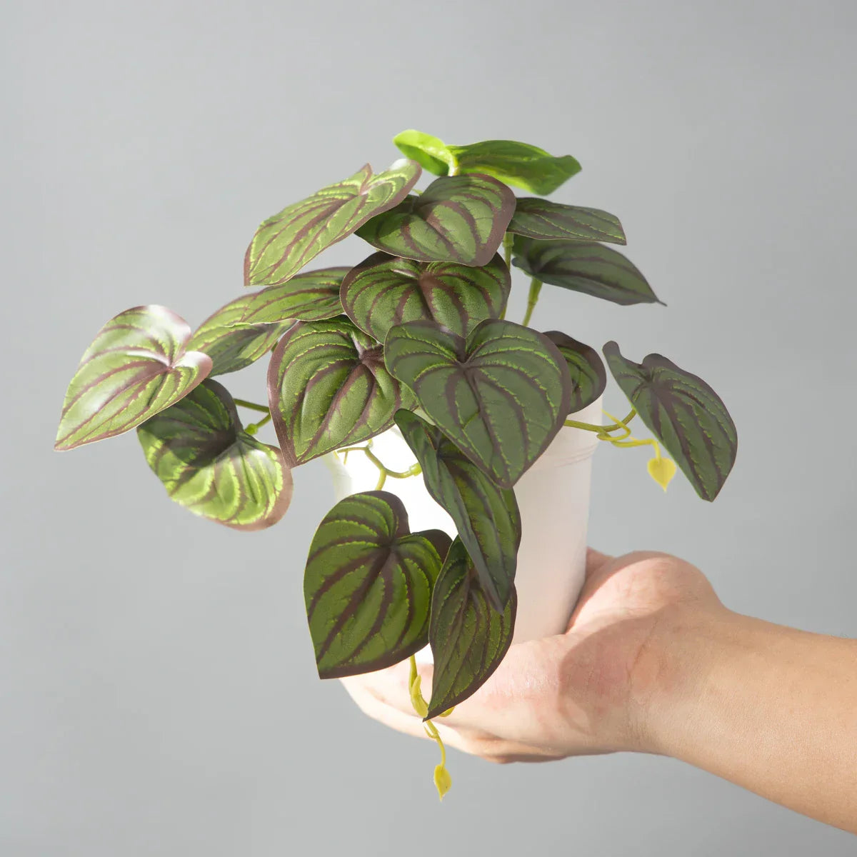 Dlight Decor 25cm Monstera Leaf Vine for Desktop and Holiday Decor Dlight Decor
