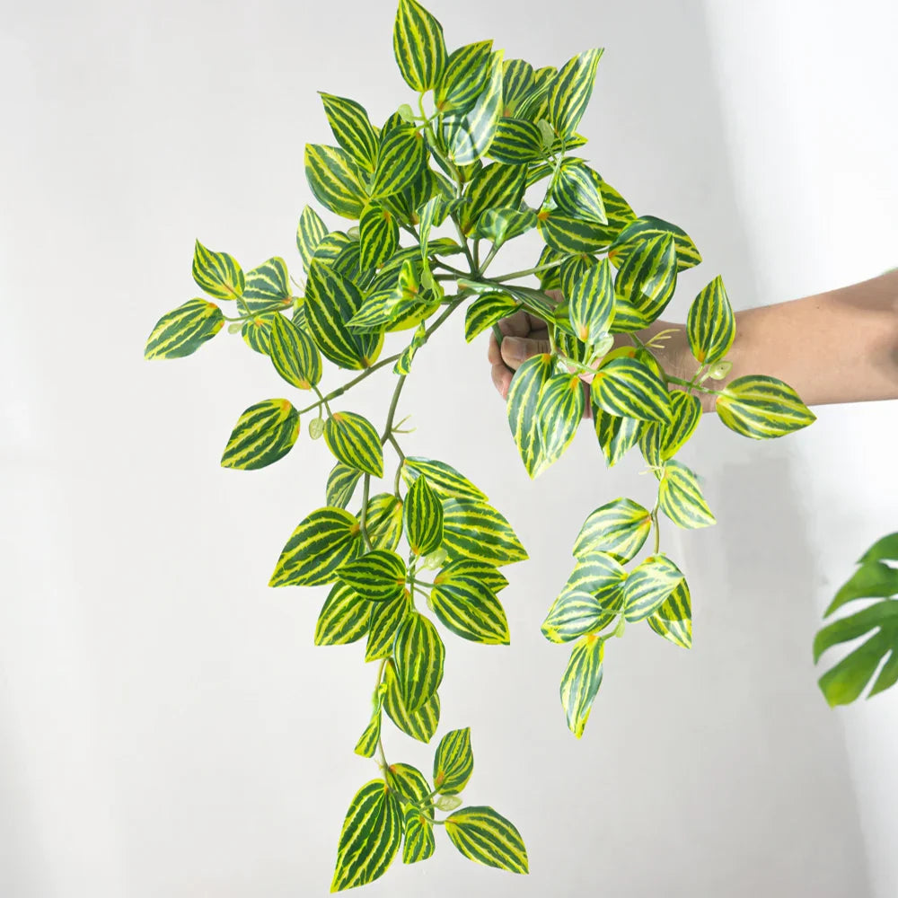 Dlight Decor Scindapsus Vine for Wall Hanging and Garden Styling Dlight Decor