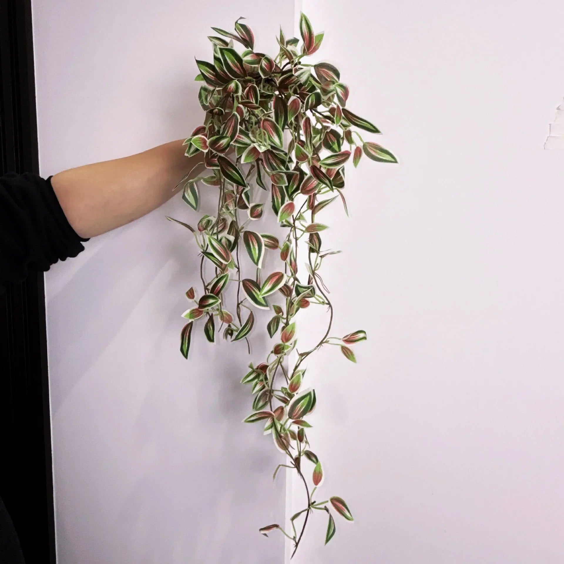 Dlight Decor 75cm Hanging Eucalyptus Vine with Scindapsus Leaves Dlight Decor