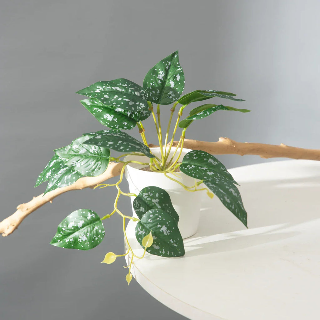 Dlight Decor 25cm Monstera Leaf Vine for Desktop and Holiday Decor Dlight Decor