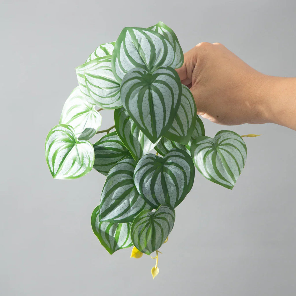 Dlight Decor 25cm Monstera Leaf Vine for Desktop and Holiday Decor Dlight Decor