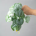 Dlight Decor 25cm Monstera Leaf Vine for Desktop and Holiday Decor Dlight Decor