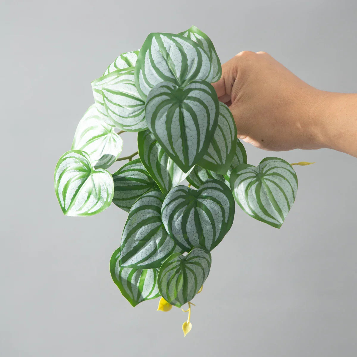Dlight Decor 25cm Monstera Leaf Vine for Desktop and Holiday Decor Dlight Decor