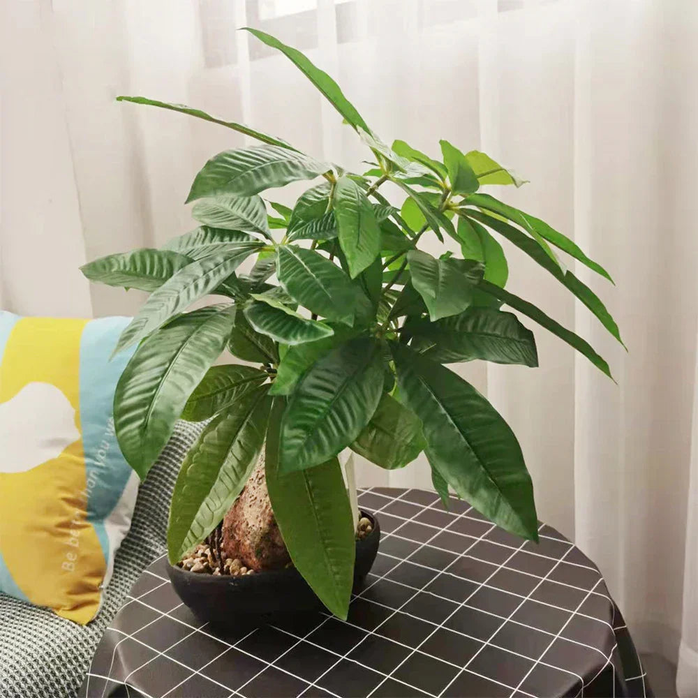 Dlight Decor 43cm Potted Monstera Money Tree for Home and Garden Decor Dlight Decor