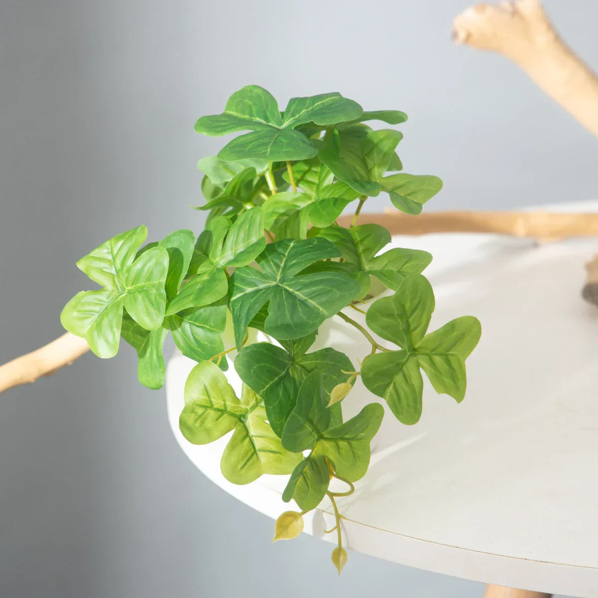 Dlight Decor 25cm Monstera Leaf Vine for Desktop and Holiday Decor Dlight Decor