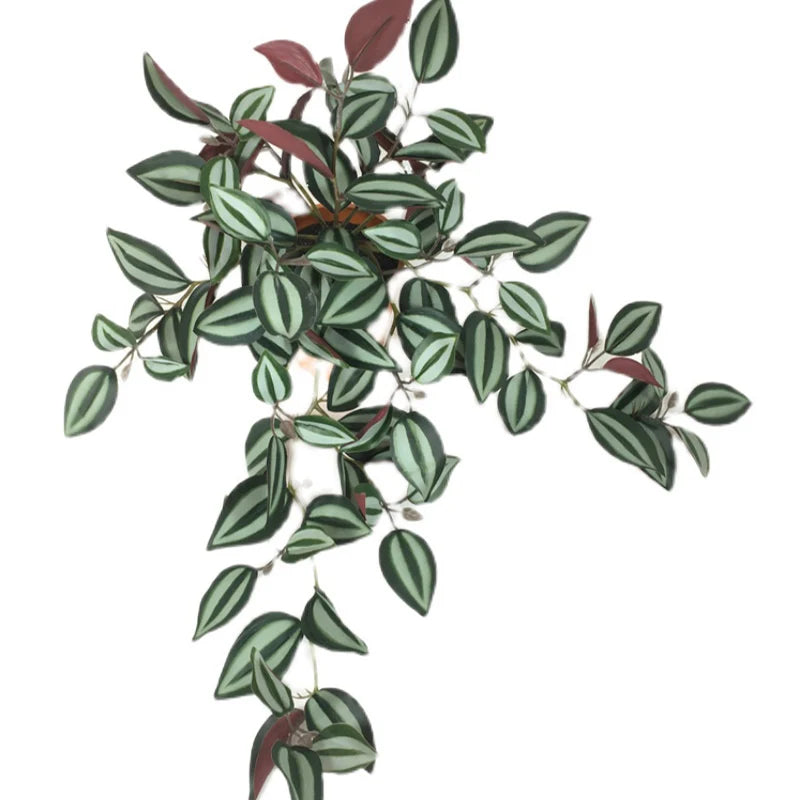Dlight Decor Scindapsus Vine for Wall Hanging and Garden Styling Dlight Decor
