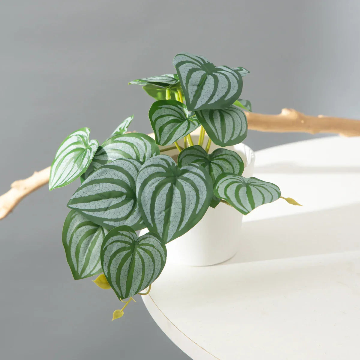 Dlight Decor 25cm Monstera Leaf Vine for Desktop and Holiday Decor Dlight Decor