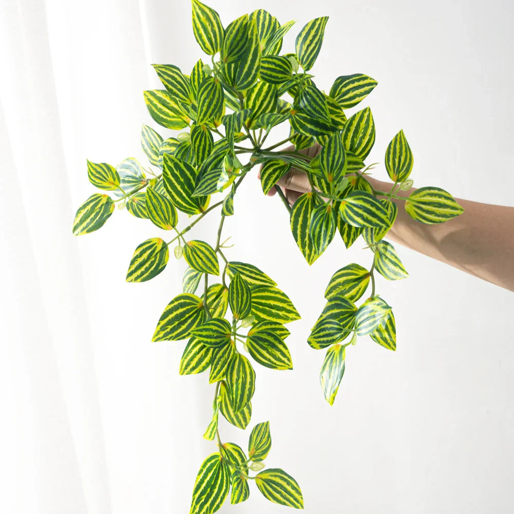 Dlight Decor Scindapsus Vine for Wall Hanging and Garden Styling Dlight Decor