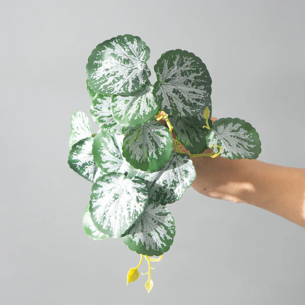 Dlight Decor 25cm Monstera Leaf Vine for Desktop and Holiday Decor Dlight Decor