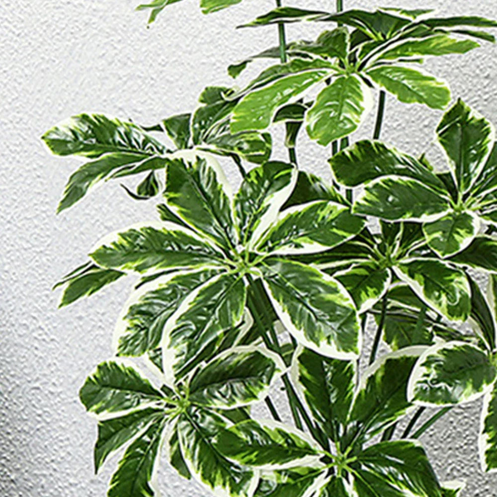 Dlight Decor 65 to 75cm Tropical Monstera Plant with Turtle Leaves Dlight Decor