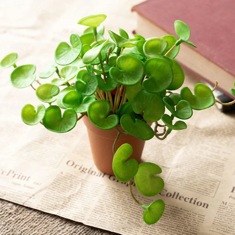 Dlight Decor 15cm Lucky Grass Foliage Bouquet for Home and Bonsai Decor Dlight Decor