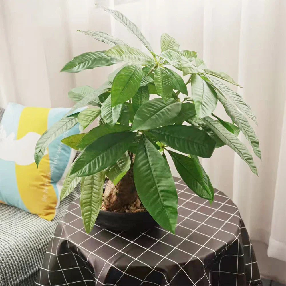 Dlight Decor 43cm Potted Monstera Money Tree for Home and Garden Decor Dlight Decor