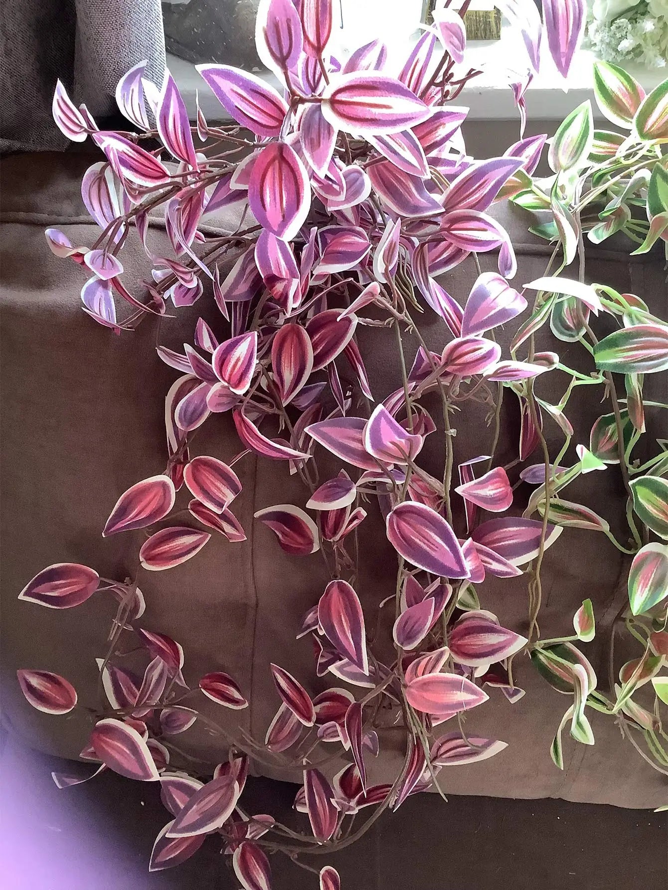 Dlight Decor 75cm Hanging Eucalyptus Vine with Scindapsus Leaves Dlight Decor