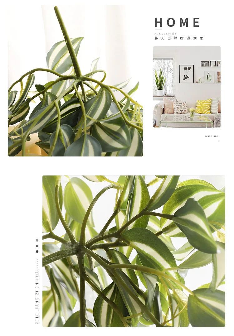 Dlight Decor Scindapsus Vine for Wall Hanging and Garden Styling Dlight Decor